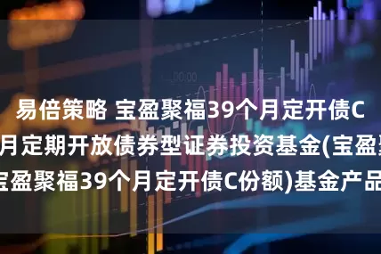 易倍策略 宝盈聚福39个月定开债C: 宝盈聚福39个月定期开放债券型证券投资基金(宝盈聚福39个月定开债C份额)基金产品资料概要(更新)