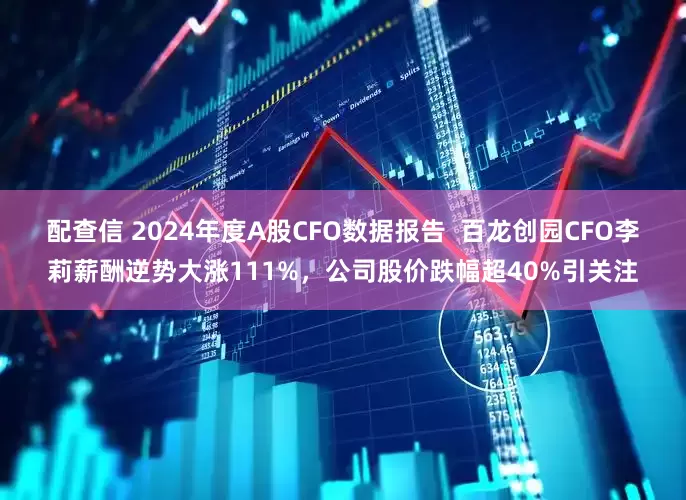 配查信 2024年度A股CFO数据报告  百龙创园CFO李莉薪酬逆势大涨111%，公司股价跌幅超40%引关注